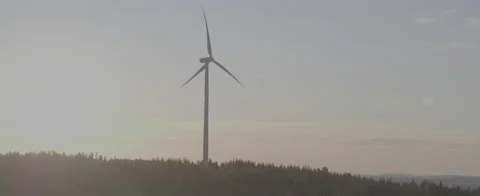 Aerial - Wind power in forest - D-LOG ProRes 5K Stock Footage 146003618