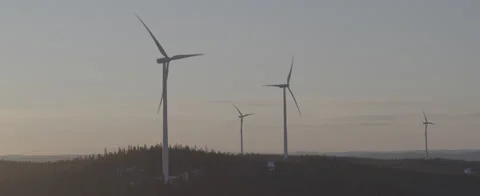 Aerial - Wind power in forest - D-LOG ProRes 5K Stock Footage 146003641