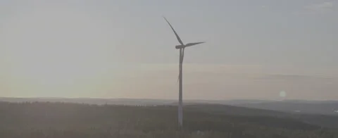 Aerial - Wind power in forest - D-LOG ProRes 5K Stock Footage 146003645