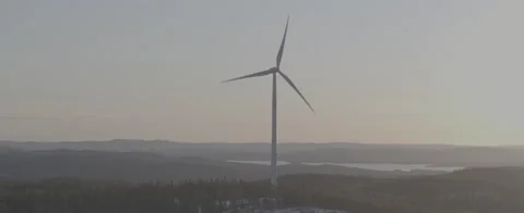 Aerial - Wind power in forest - D-LOG ProRes 5K Stock Footage 146003667