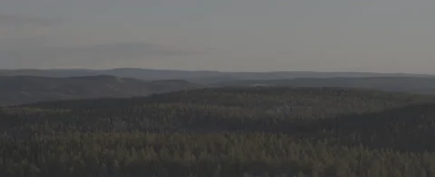 Aerial - Wind power in forest - D-LOG ProRes 5K Stock Footage 146003740