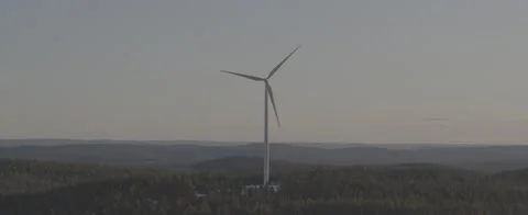 Aerial - Wind power in forest - D-LOG ProRes 5K Stock Footage 146003786