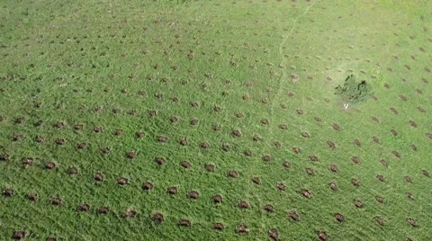 Aerial of windfarm in China Stock Footage 59552274