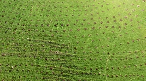 Aerial of windfarm in China Stock Footage 59552291