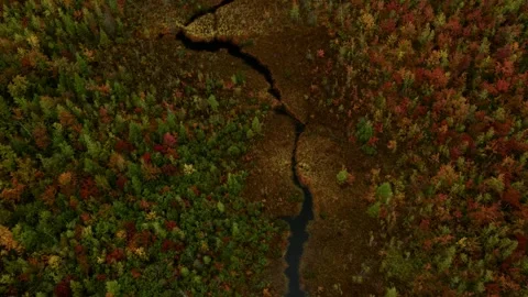 Aerial of a Winding River during Fall Stock Footage 317910502