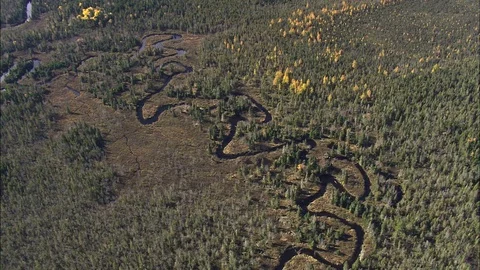 Aerial of a winding river flowing through the forest landscape, High over Stock Footage 109136580