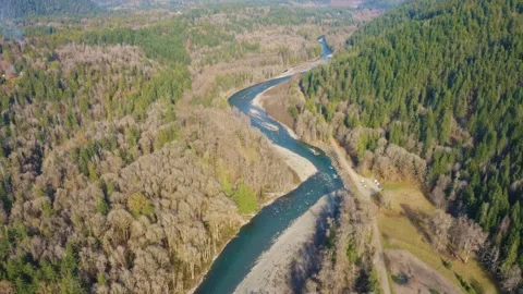 Aerial Winding River Flowing Through Dense Evergreen Forest Stock-Footage 342119057