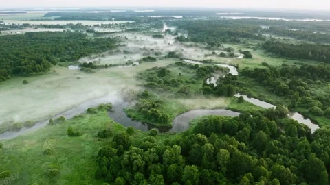 Aerial winding river flows through green meadows. Foggy morning, idyllic valley Video stock 133913774
