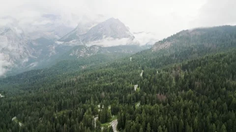 Aerial winding road through dense coniferous forest near Lake Misurina. Sce.. Vídeos de archivo 332229137