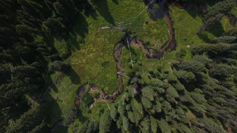 Aerial of winding stream through Boise National Forest Idaho in summer Video stock 341525203