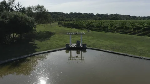 Aerial Winery Vineyard Pond Pull Back Shot 4K@24FPS DLOG Video stock 213123853