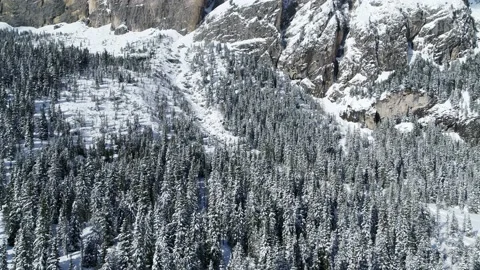 Aerial winter forest in the Alps, Trees and mountains covered in deep snow Stock Footage 132084838