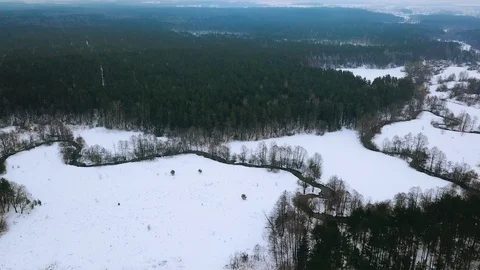 AERIAL: winter forest and river. Birds eye view on winter landscape of snowy Stock Footage 90128049