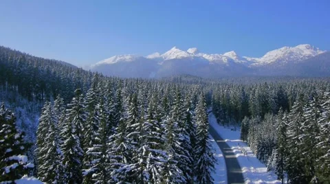 AERIAL: Winter forest Stock Footage 21710412