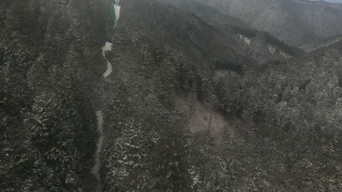 Aerial : Winter forest Stock Footage 86166191