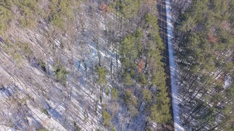 Aerial winter forest with hidden clearing and winding stream view Stock Footage 327351866