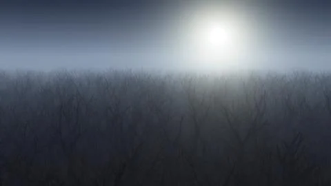 Aerial of winter forest in the mist. 스톡 일러스트