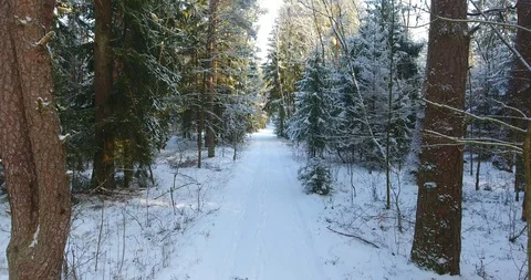 AERIAL: the winter forest trail. Backward motion - 002 動画素材 86080697