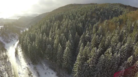 AERIAL: winter forest trees Stock Footage 45801869