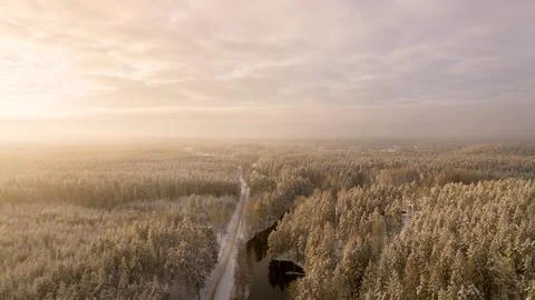 Aerial winter forest view Stock Photos