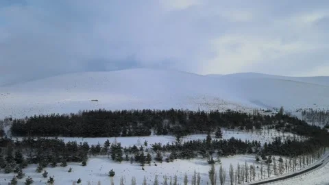 Aerial winter landscape Stock Footage 262903875