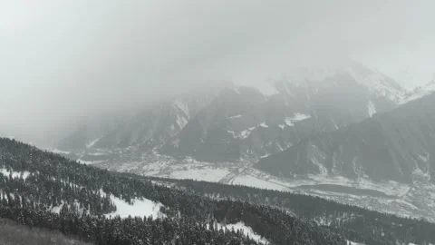 Aerial winter landscape with pine trees covered with snow in spruce forest 库存影片 237819871