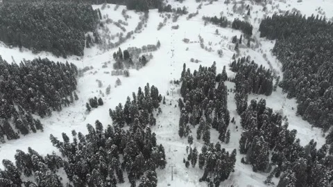 Aerial winter landscape with pine trees covered with snow in spruce forest Stockbeeldmateriaal 237820314