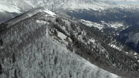 Aerial winter landscape with pine trees covered with snow in spruce forest 库存影片 237821441