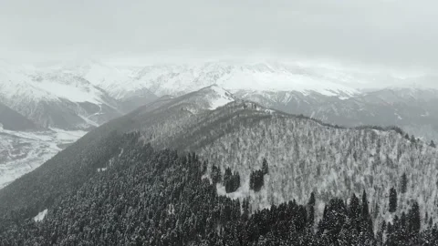 Aerial winter landscape with pine trees covered with snow in spruce forest Video stock 237822486
