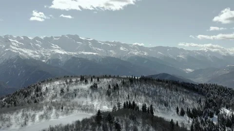 Aerial winter landscape with pine trees covered with snow in spruce forest Видео 237822692