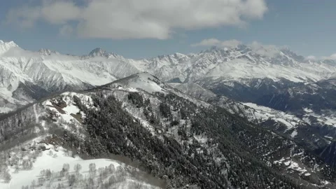 Aerial winter landscape with pine trees covered with snow in spruce forest Stock Footage 237822719