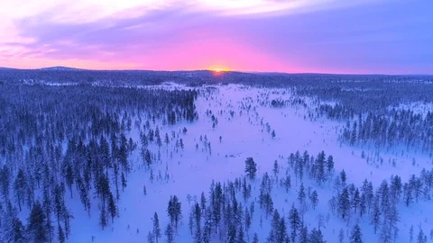 AERIAL: Winter sun setting behind snowy pine tree forest in winter wonderland Stock Footage 80787448