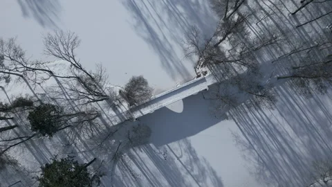 Aerial, winter view of the bridge in the park. Stock Footage 262157372