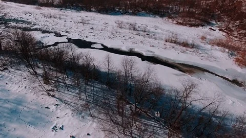 Aerial winter view high above rural village surrounded by pine tree forest Stockbeeldmateriaal 71977452