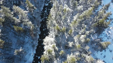 Aerial winter view of Rila Mountain near Beli Iskar river, Bulgaria Stock Footage 168564268