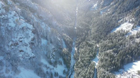 Aerial winter view of Rila Mountain near Beli Iskar river, Bulgaria Stock Footage 168564329
