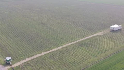 Aerial Winter Viticulture Fields with Organized Vine Rows Stock Footage 328828175