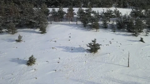 Aerial winter woods Stock Footage 263285399