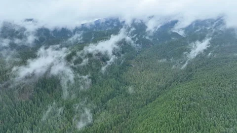 Aerial of Wispy Clouds Drifting Above Vast Forest in Oregon Stock Footage 282755552