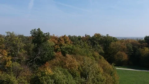 Aerial wood tree Stock Footage 86643575