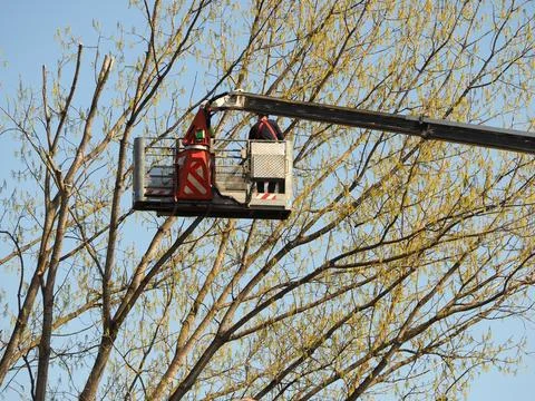 Aerial work platform Foto stock