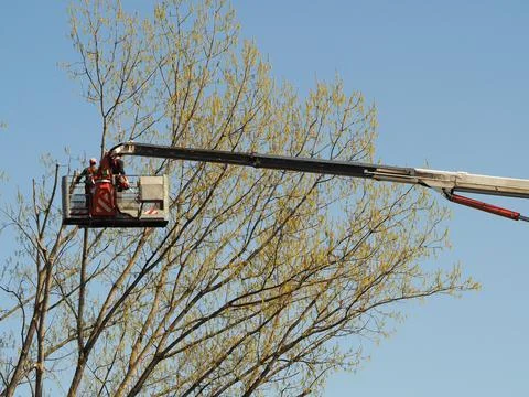Aerial work platform Foto stock