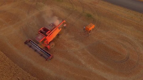 Aerial - Worker Blowing off Combine in Wheat Field Stockbeeldmateriaal 79775984