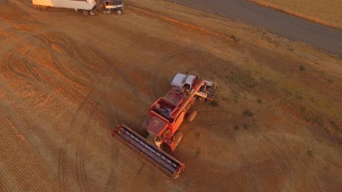 Aerial - Worker Cleaning Combine in Wheat Field Stock-Footage 79783763