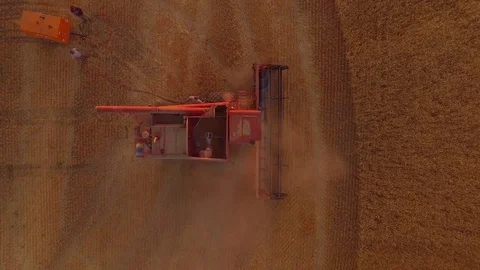 Aerial - Worker Removing Dust From Combine in Wheat Field Video stock 79773831
