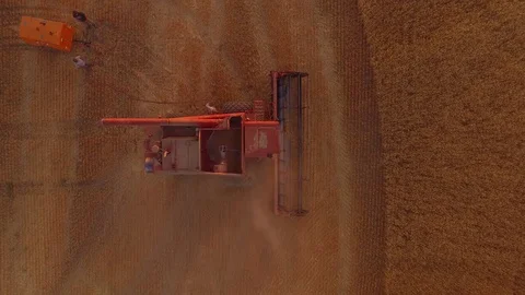 Aerial - Worker Removing Dust From Combine in Wheat Field Stock-Footage 79775951
