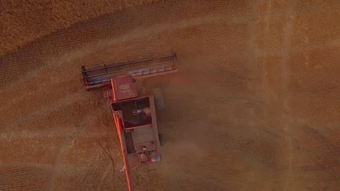 Aerial - Worker Removing Dust From Combine in Wheat Field Video stock 79776004