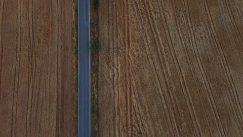 Aerial zenith view of road through tuscan countryside Stock Footage 319481818