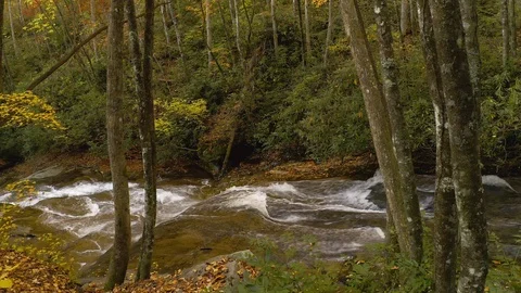 An aerial zoom in on a river in the fall. Video stock 119035399