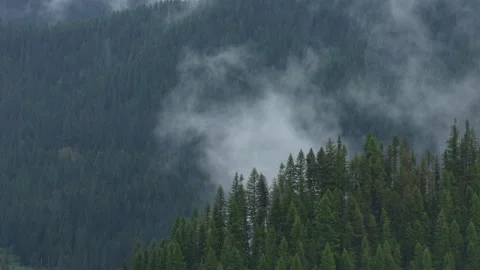 Aerial zoom shot of low clouds in St Joe Mountains near Wallace Idaho in spring 動画素材 335965518